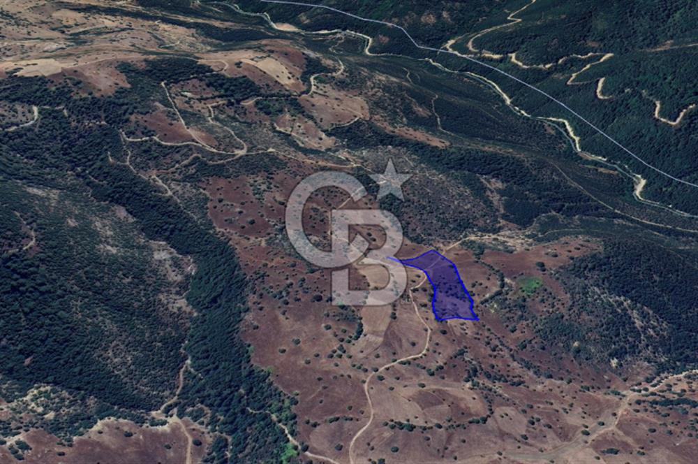 CB KiNG'DEN BALIKESİR/DURSUNBEY ÇANAKÇI MAHALLESİ SATILIK TARLA