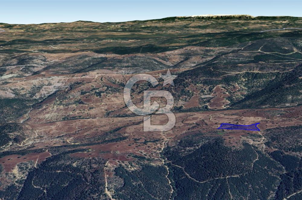 CB KiNG'DEN BALIKESİR/DURSUNBEY ÇANAKÇI MAHALLESİ SATILIK TARLA