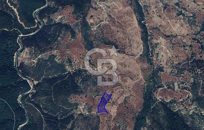 CB KiNG'DEN BALIKESİR/DURSUNBEY ÇANAKÇI MAHALLESİ SATILIK TARLA