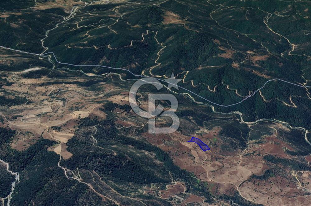 CB KiNG'DEN BALIKESİR/DURSUNBEY ÇANAKÇI MAHALLESİ SATILIK TARLA