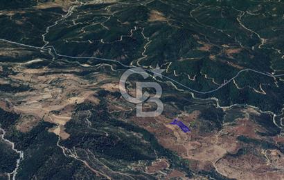 CB KiNG'DEN BALIKESİR/DURSUNBEY ÇANAKÇI MAHALLESİ SATILIK TARLA