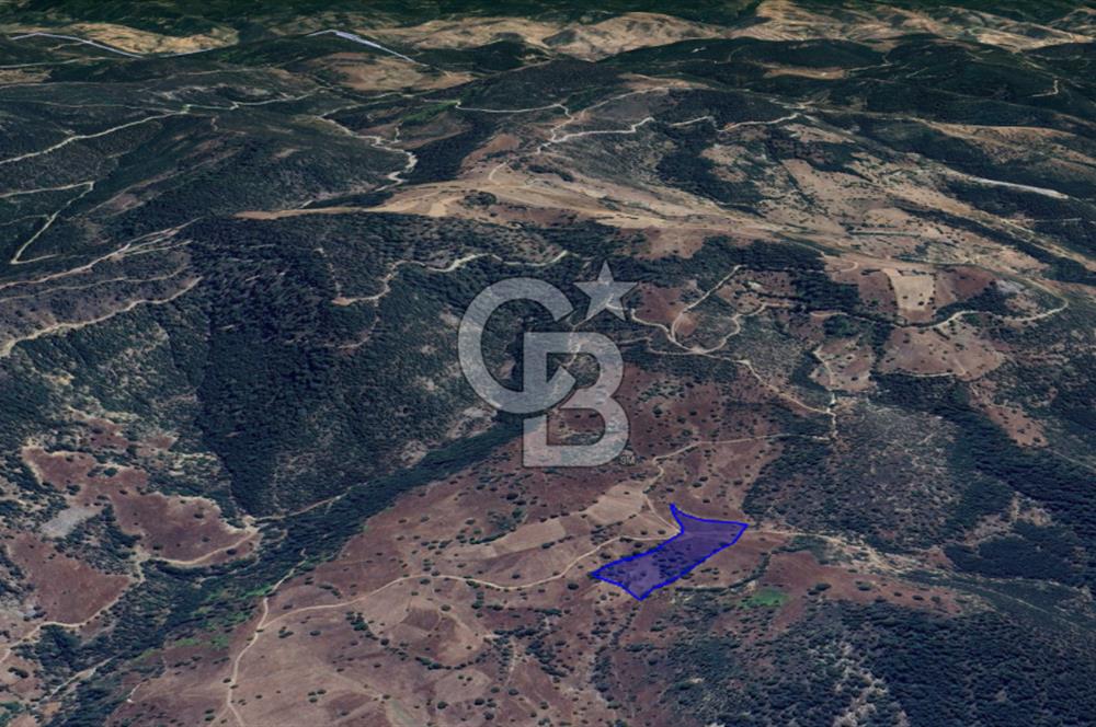 CB KiNG'DEN BALIKESİR/DURSUNBEY ÇANAKÇI MAHALLESİ SATILIK TARLA