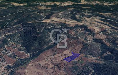 CB KiNG'DEN BALIKESİR/DURSUNBEY ÇANAKÇI MAHALLESİ SATILIK TARLA