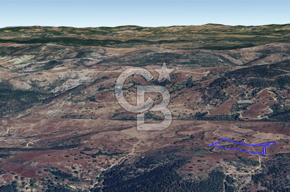 CB KiNG'DEN BALIKESİR/DURSUNBEY ÇANAKÇI MAHALLESİ SATILIK TARLA