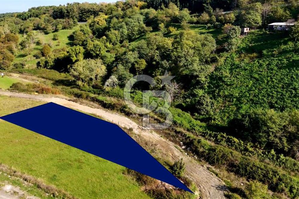 Kalkancı'da Tek Tapu 1.389m² 6 Kata İmarlı Köşe Parsel Arsa