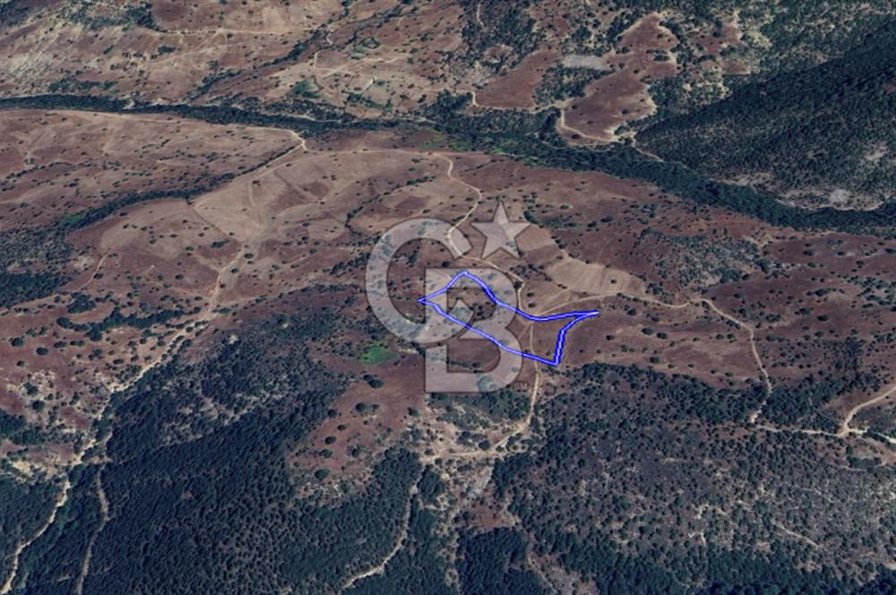 CB KiNG'DEN BALIKESİR/DURSUNBEY ÇANAKÇI MAHALLESİ SATILIK TARLA