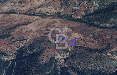 CB KiNG'DEN BALIKESİR/DURSUNBEY ÇANAKÇI MAHALLESİ SATILIK TARLA