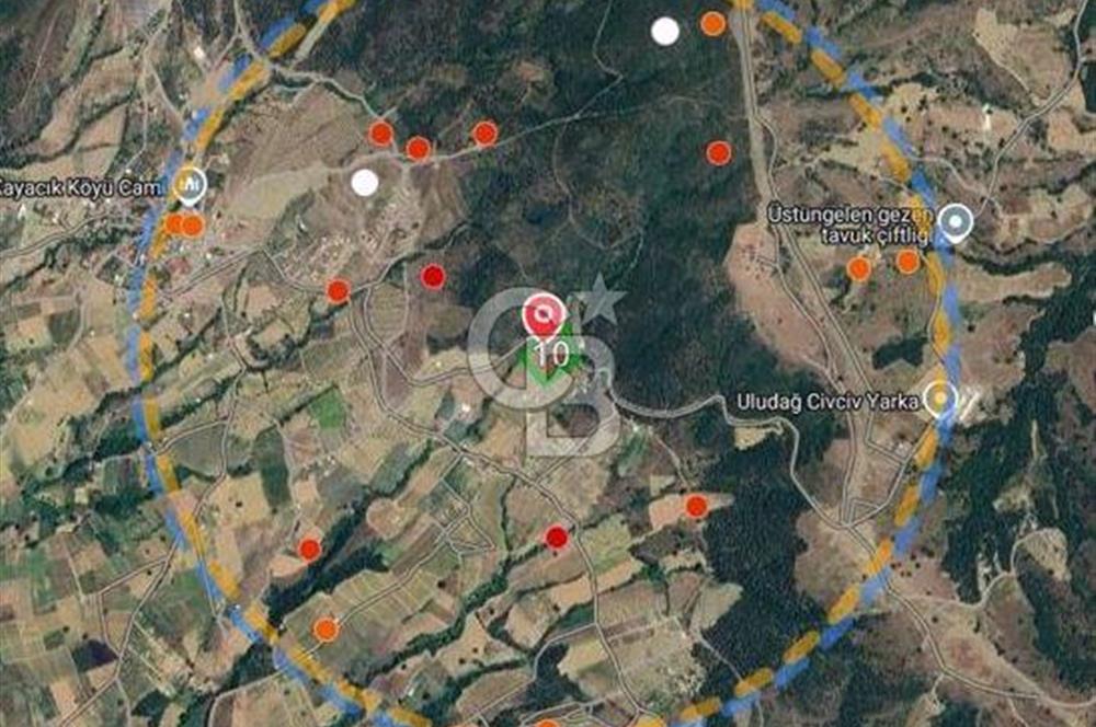 BURSA KESTEL KAYACIK MAHALLESİNDE SATILIK YATIRIMLIK TARLA