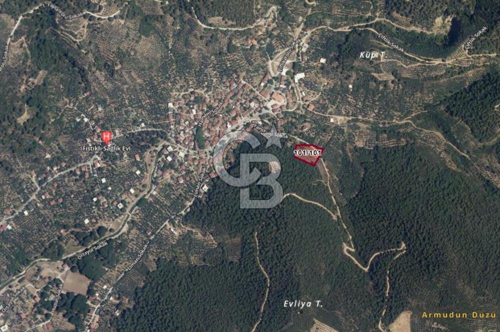 ARMUTLU FISTIKLI'DA ELEKTRİK SU ÇEKİLİ İÇİNDE EV OLAN ZEYTİNLİK