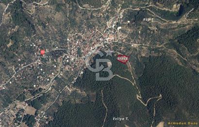 ARMUTLU FISTIKLI'DA ELEKTRİK SU ÇEKİLİ İÇİNDE EV OLAN ZEYTİNLİK