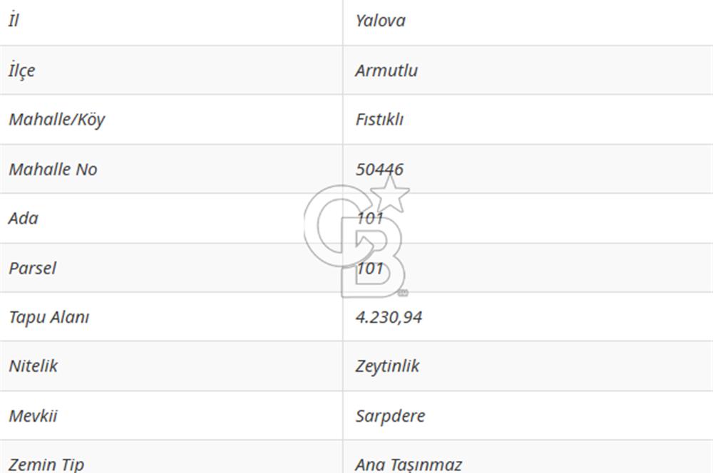 ARMUTLU FISTIKLI'DA ELEKTRİK SU ÇEKİLİ İÇİNDE EV OLAN ZEYTİNLİK