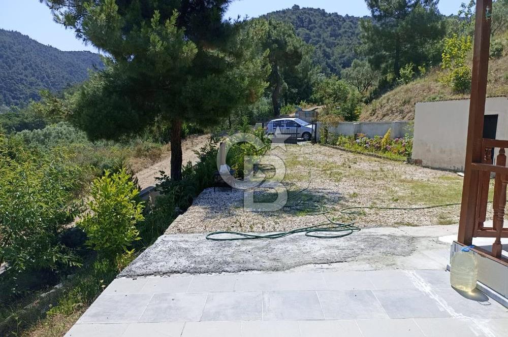 ARMUTLU FISTIKLI'DA ELEKTRİK SU ÇEKİLİ İÇİNDE EV OLAN ZEYTİNLİK