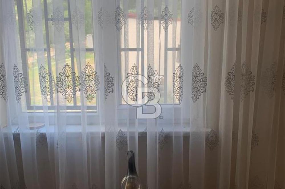 ARMUTLU FISTIKLI'DA ELEKTRİK SU ÇEKİLİ İÇİNDE EV OLAN ZEYTİNLİK