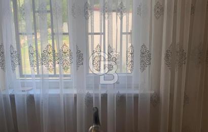 ARMUTLU FISTIKLI'DA ELEKTRİK SU ÇEKİLİ İÇİNDE EV OLAN ZEYTİNLİK
