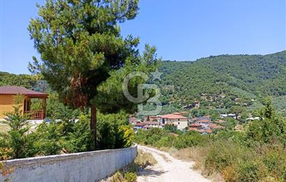 ARMUTLU FISTIKLI'DA ELEKTRİK SU ÇEKİLİ İÇİNDE EV OLAN ZEYTİNLİK