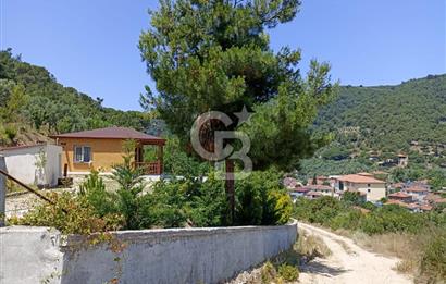 ARMUTLU FISTIKLI'DA ELEKTRİK SU ÇEKİLİ İÇİNDE EV OLAN ZEYTİNLİK