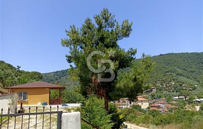 ARMUTLU FISTIKLI'DA ELEKTRİK SU ÇEKİLİ İÇİNDE EV OLAN ZEYTİNLİK