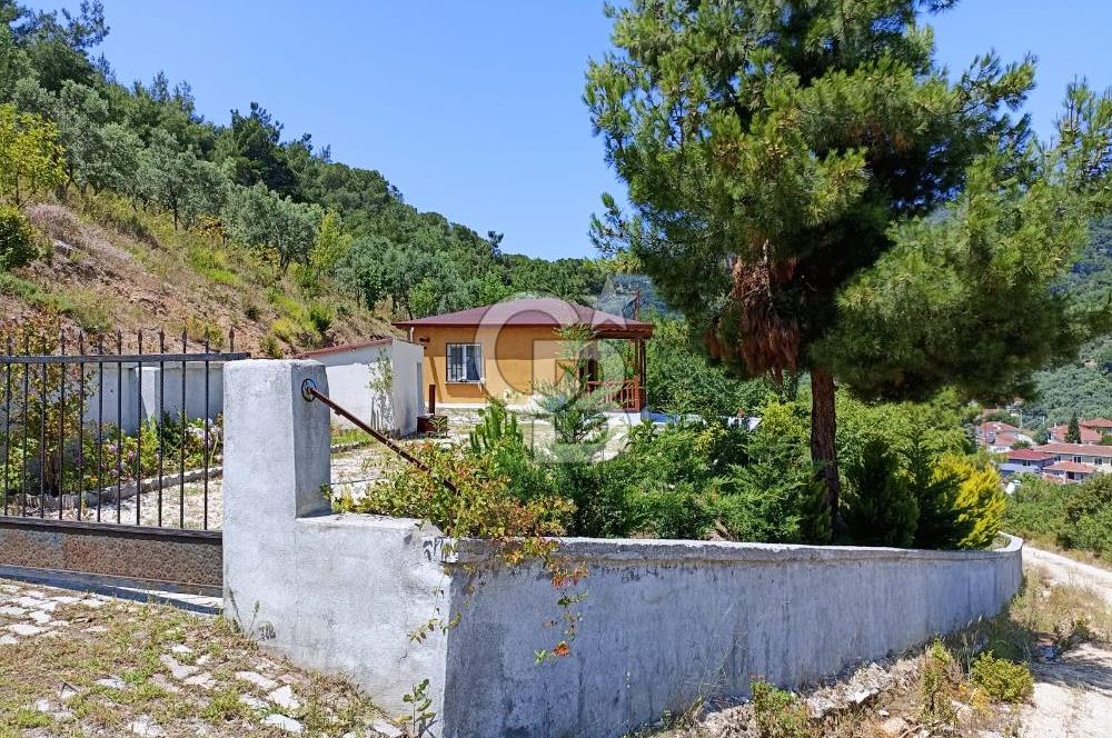 ARMUTLU FISTIKLI'DA ELEKTRİK SU ÇEKİLİ İÇİNDE EV OLAN ZEYTİNLİK