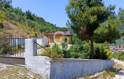 ARMUTLU FISTIKLI'DA ELEKTRİK SU ÇEKİLİ İÇİNDE EV OLAN ZEYTİNLİK