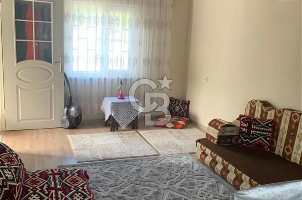 ARMUTLU FISTIKLI'DA ELEKTRİK SU ÇEKİLİ İÇİNDE EV OLAN ZEYTİNLİK