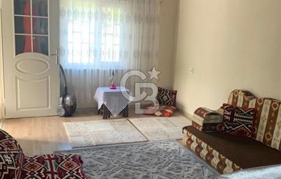 ARMUTLU FISTIKLI'DA ELEKTRİK SU ÇEKİLİ İÇİNDE EV OLAN ZEYTİNLİK