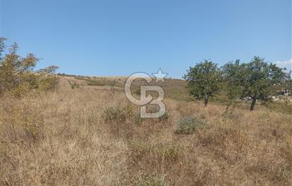 YALOVA ÇİFTLİKKÖY SULTANİYE'DE 4 KAT İMARLI SATILIK ARSA