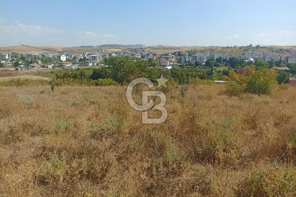 YALOVA ÇİFTLİKKÖY SULTANİYE'DE 4 KAT İMARLI SATILIK ARSA