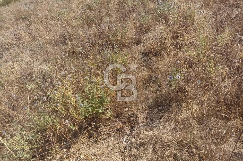 YALOVA ÇİFTLİKKÖY SULTANİYE'DE 4 KAT İMARLI SATILIK ARSA