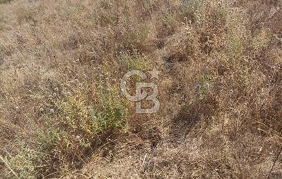 YALOVA ÇİFTLİKKÖY SULTANİYE'DE 4 KAT İMARLI SATILIK ARSA
