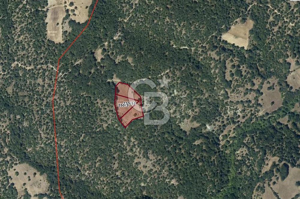 CB EAGLE'dan DURSUNBEY ŞABANLAR'DA 7.677 m² SATILIK 2 ADET TARLA