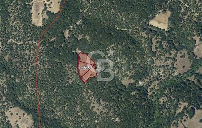 CB EAGLE'dan DURSUNBEY ŞABANLAR'DA 7.677 m² SATILIK 2 ADET TARLA