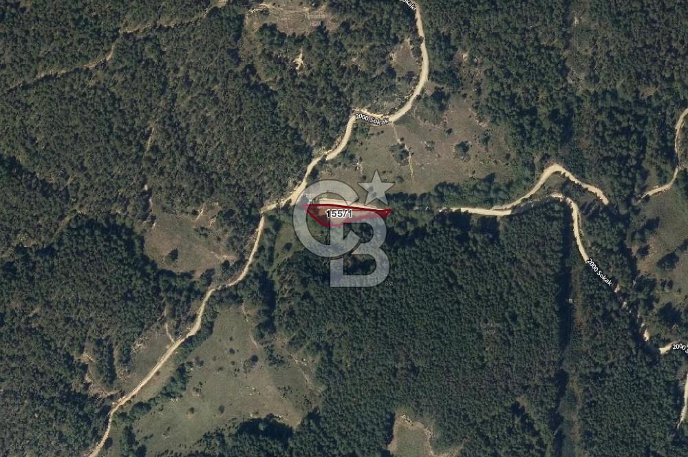 CB EAGLE'dan DURSUNBEY ALAÇAM'DA 1.677 m² SATILIK TARLA