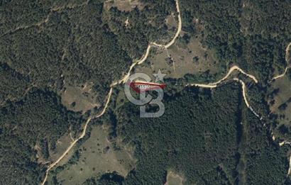 CB EAGLE'dan DURSUNBEY ALAÇAM'DA 1.677 m² SATILIK TARLA