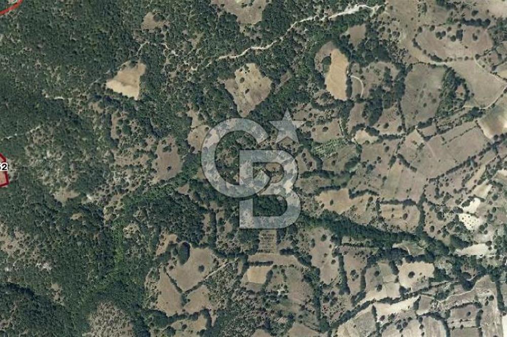 CB EAGLE'dan DURSUNBEY ŞABANLAR'DA 7.677 m² SATILIK 2 ADET TARLA