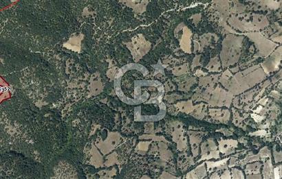CB EAGLE'dan DURSUNBEY ŞABANLAR'DA 7.677 m² SATILIK 2 ADET TARLA