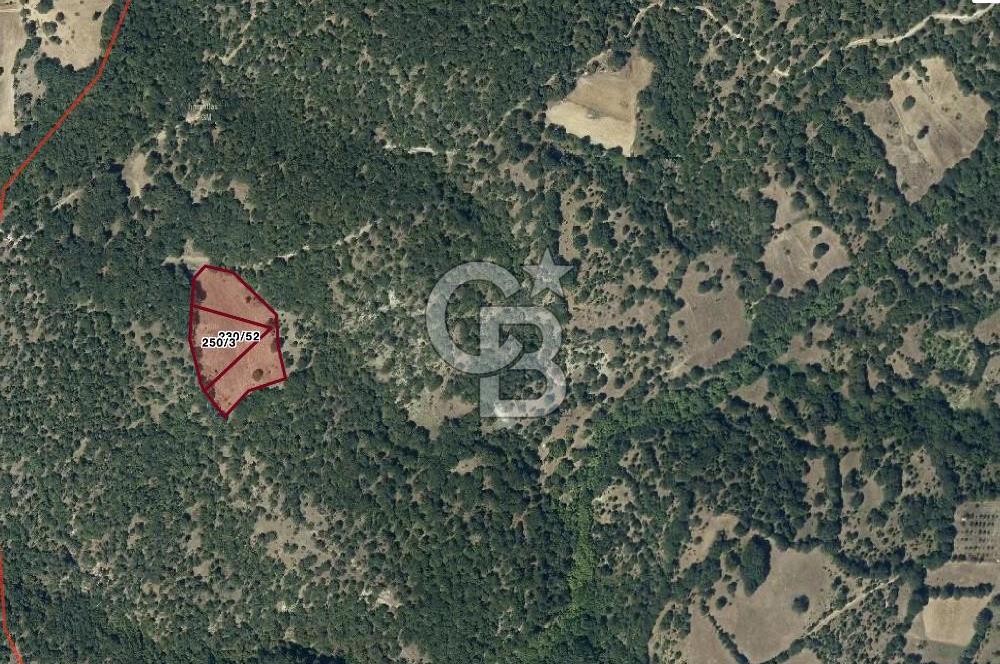 CB EAGLE'dan DURSUNBEY ŞABANLAR'DA 7.677 m² SATILIK 2 ADET TARLA