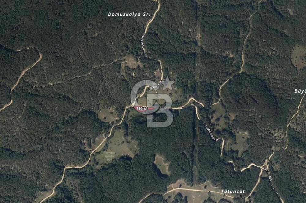 CB EAGLE'dan DURSUNBEY ALAÇAM'DA 1.677 m² SATILIK TARLA