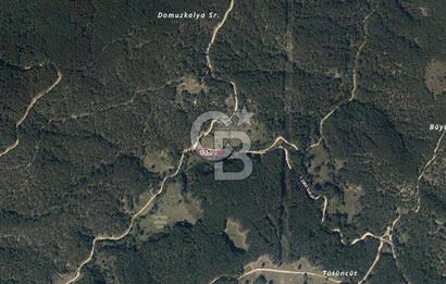 CB EAGLE'dan DURSUNBEY ALAÇAM'DA 1.677 m² SATILIK TARLA