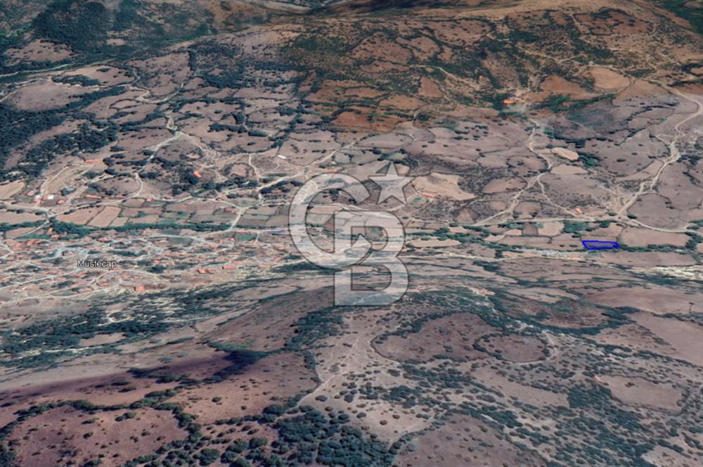 CB KİNG'DEN BALIKESİR/BALYA MÜSTECAP MAHALLESİ SATILIK BAHÇE