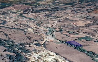 CB KİNG'DEN BALIKESİR/BALYA MÜSTECAP MAHALLESİ SATILIK BAHÇE