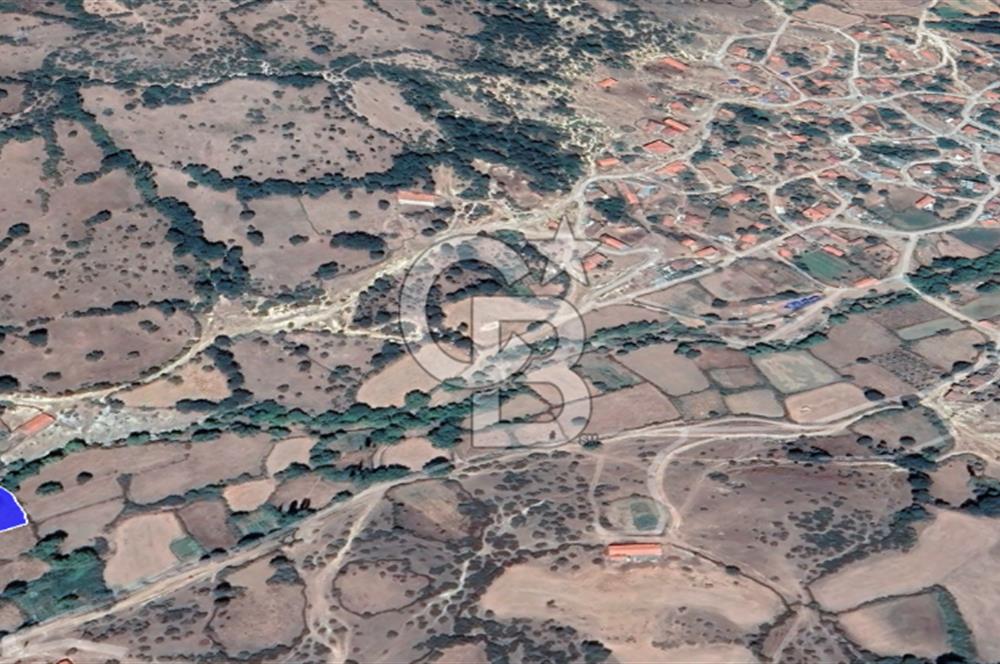 CB KİNG'DEN BALIKESİR/BALYA MÜSTECAP MAHALLESİ SATILIK BAHÇE