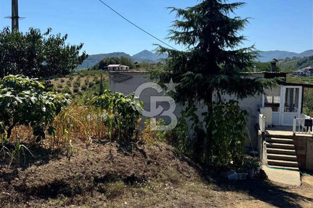 COLDWELL BANKER NET GAYRİMENKUL'DEN 2.403 M2 ARSA SATILIK