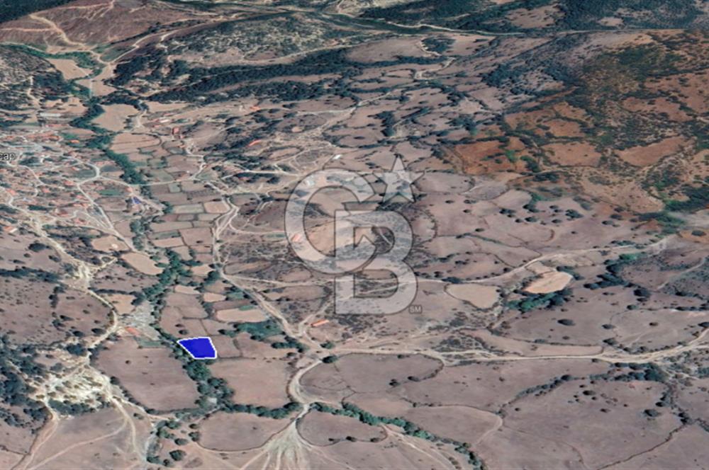 CB KİNG'DEN BALIKESİR/BALYA MÜSTECAP MAHALLESİ SATILIK BAHÇE
