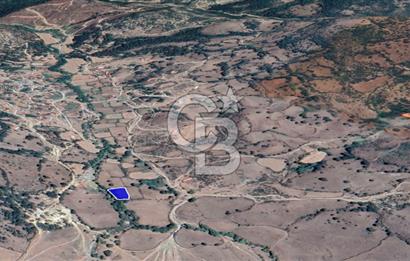 CB KİNG'DEN BALIKESİR/BALYA MÜSTECAP MAHALLESİ SATILIK BAHÇE