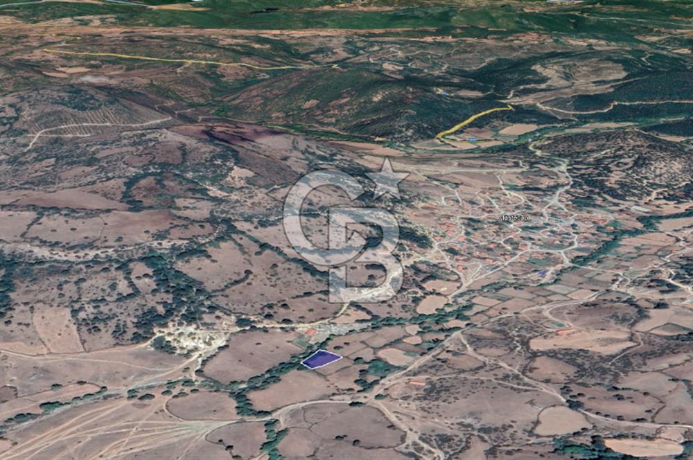 CB KİNG'DEN BALIKESİR/BALYA MÜSTECAP MAHALLESİ SATILIK BAHÇE