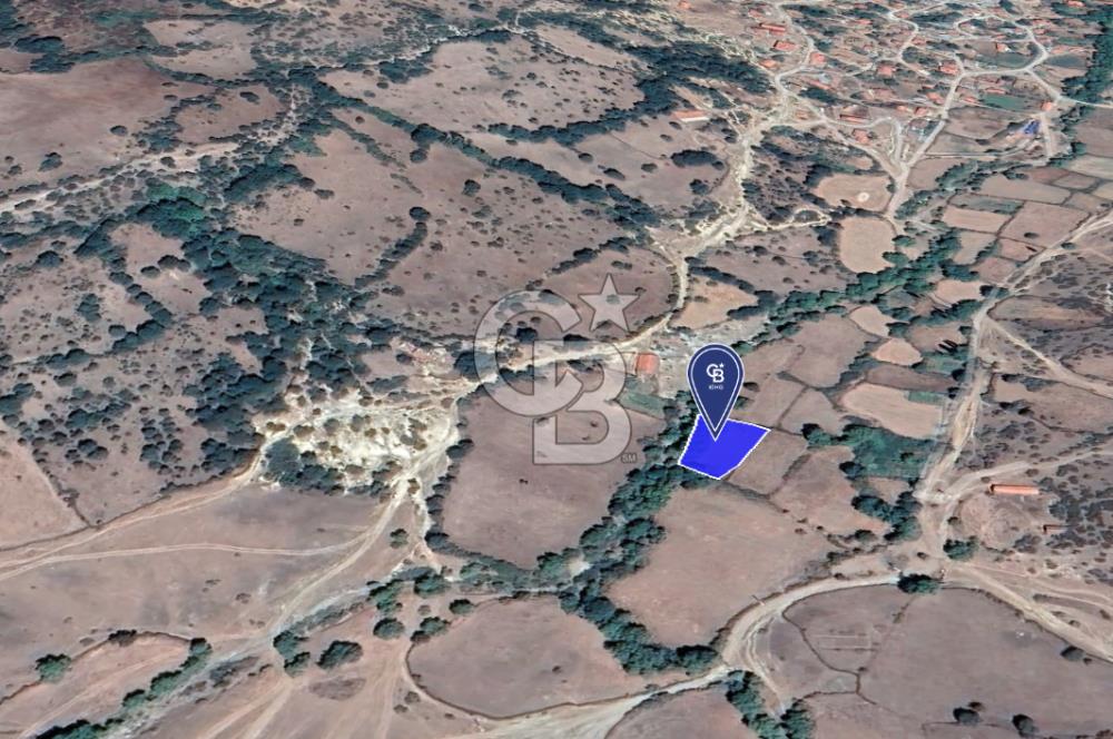 CB KİNG'DEN BALIKESİR/BALYA MÜSTECAP MAHALLESİ SATILIK BAHÇE
