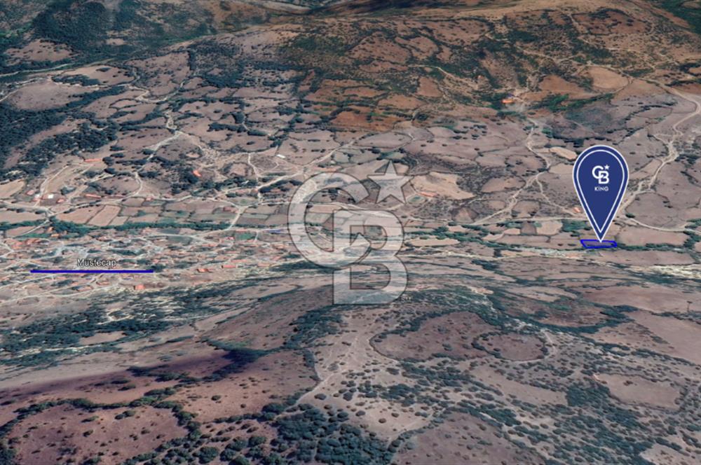 CB KİNG'DEN BALIKESİR/BALYA MÜSTECAP MAHALLESİ SATILIK BAHÇE