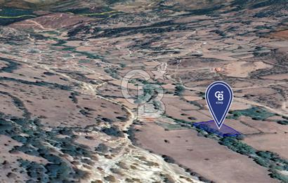 CB KİNG'DEN BALIKESİR/BALYA MÜSTECAP MAHALLESİ SATILIK BAHÇE