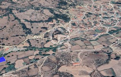 CB KİNG'DEN BALIKESİR/BALYA MÜSTECAP MAHALLESİ SATILIK BAHÇE