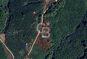 SAKARYA ERENLER EKİNLİ KÖYÜNDE YATIRIMLIK 5077 M2 SATILIK TARLA